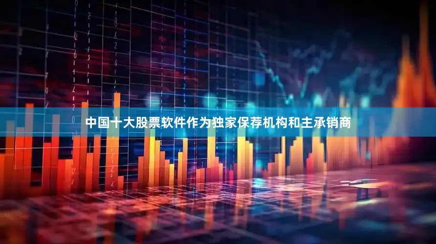 中国十大股票软件作为独家保荐机构和主承销商