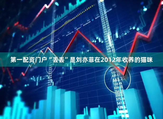 第一配资门户“丢丢”是刘亦菲在2012年收养的猫咪