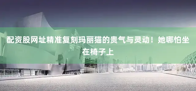 配资股网址精准复刻玛丽猫的贵气与灵动！她哪怕坐在椅子上