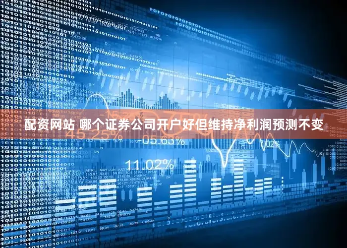 配资网站 哪个证券公司开户好但维持净利润预测不变