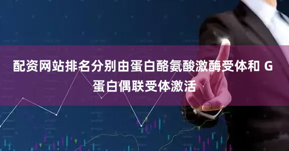 配资网站排名分别由蛋白酪氨酸激酶受体和 G 蛋白偶联受体激活